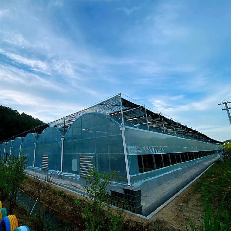 大通溫室工程