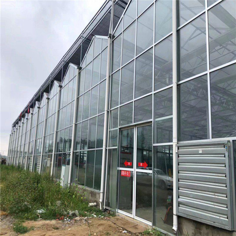 大通玻璃溫室